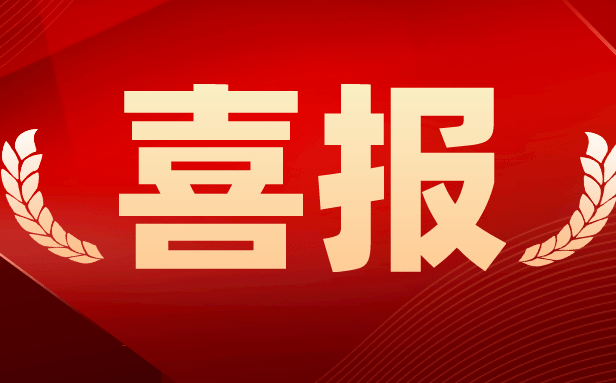 顶立科技获“2023年湖南省制造业质量标杆企业”荣誉